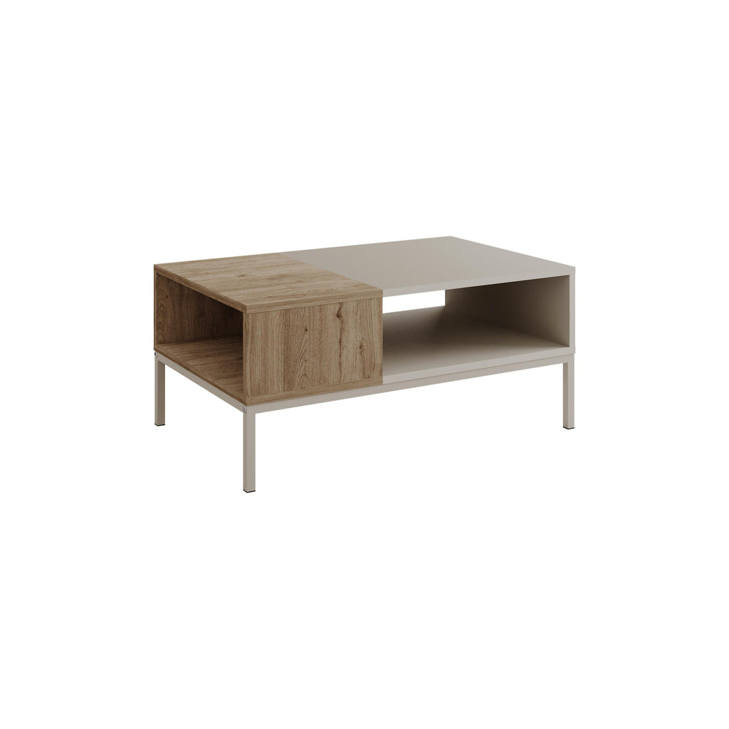 Cailin Modern Coffee Table with Open Storage