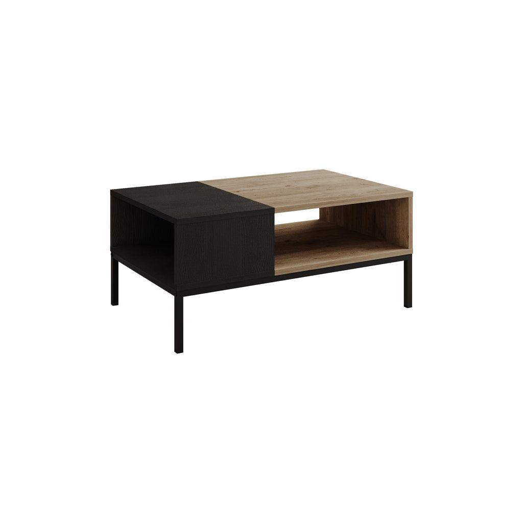 Cailin Modern Coffee Table with Open Storage