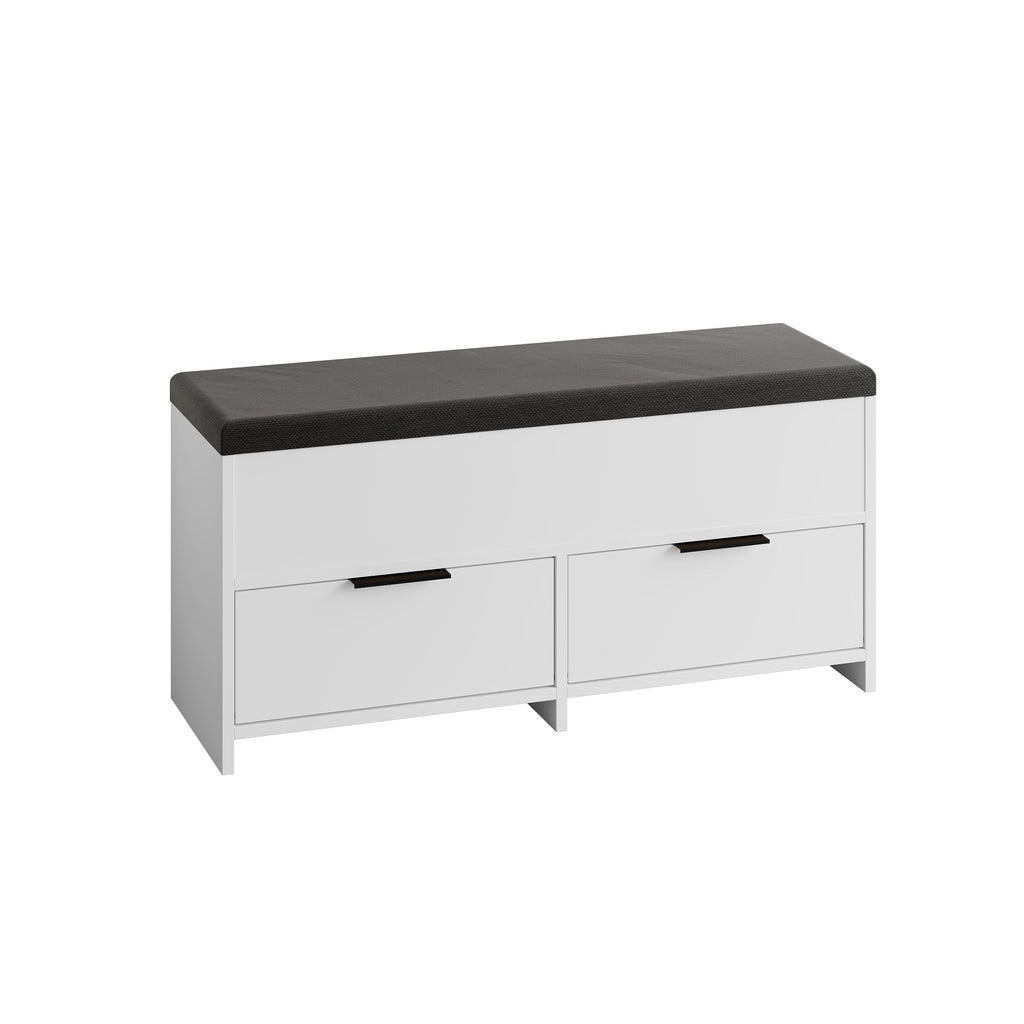 Modern Shoe Storage Bench