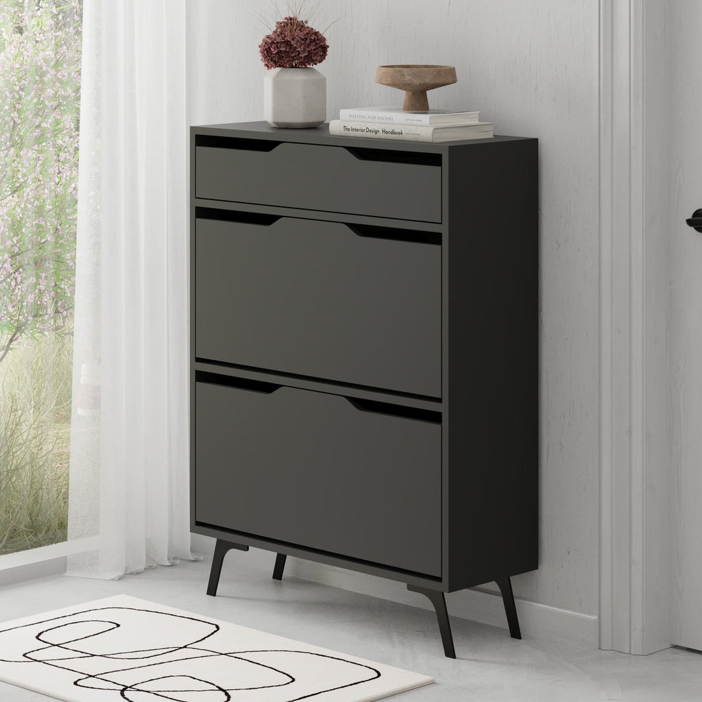 Shoe Cabinet - Modern Design Shoe Organizer